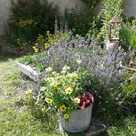 Le Coq En Pate * ロミイ・シュル・セーヌ